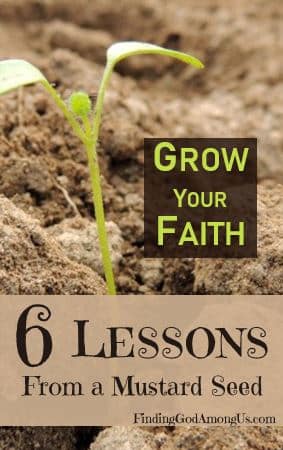 Looking for Mustard Seed Faith? What life lessons can we learn from a tiny mustard seed? Learn six lessons to grow your seed of faith from the Parable of the Mustard Seed.