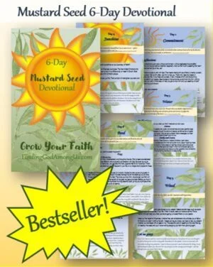 Mustard Seed 6-Day Devotional Download