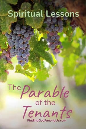 Parable of the Tenants Spiritual Lessons - Parable of the Wicked Tenants and Parable of the Wicked Husbandmen