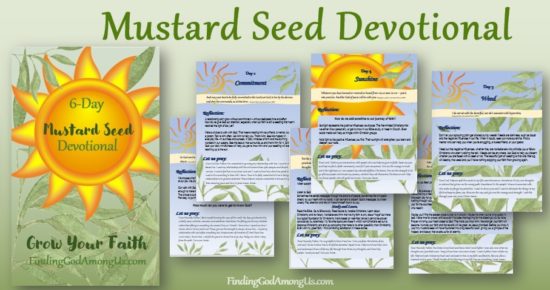 6-Day Mustard Seed of Faith Devotional walks through all the steps needed to grow your faith. Are you looking for Mustard Seed Faith? Here it is.